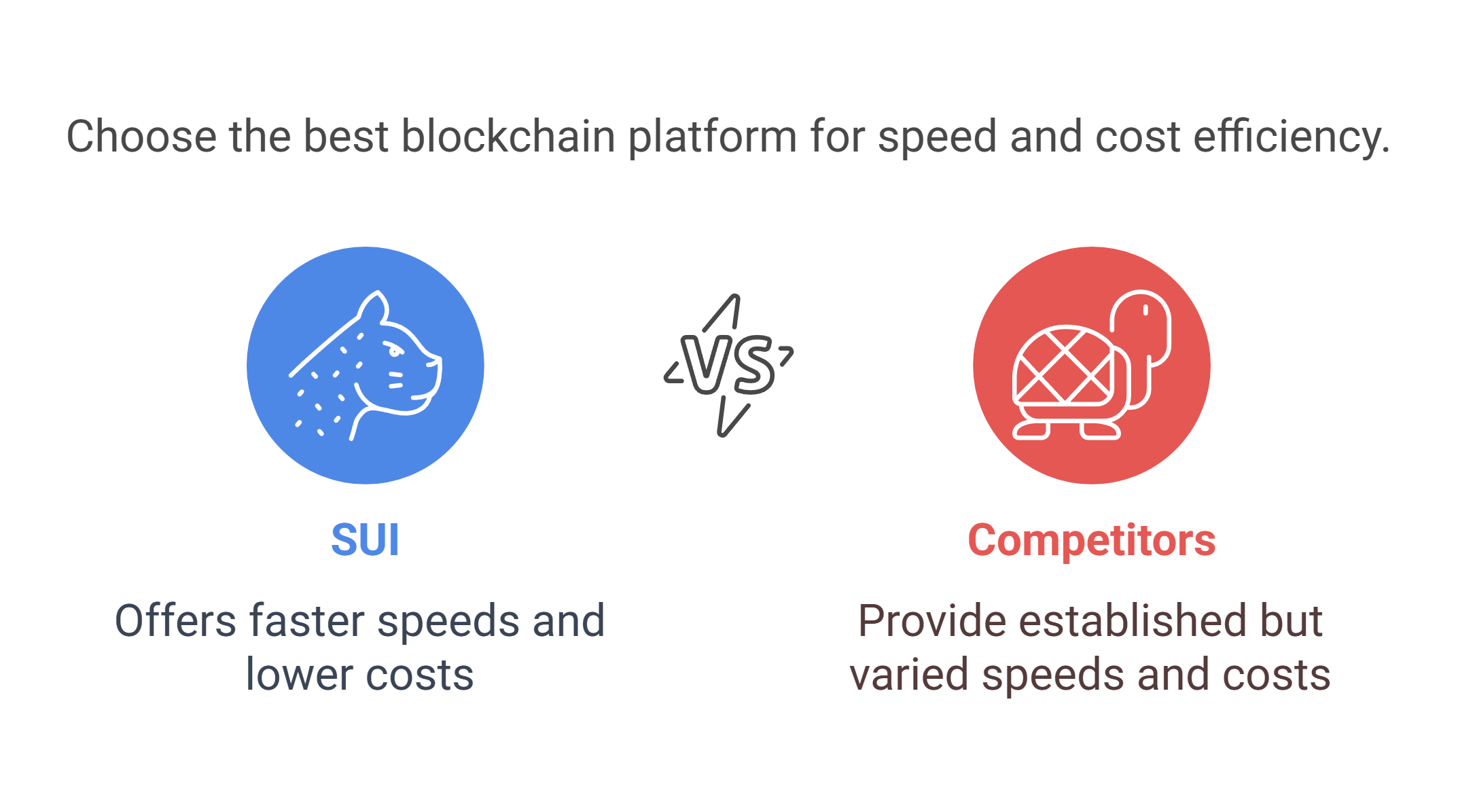 Competitive Comparison