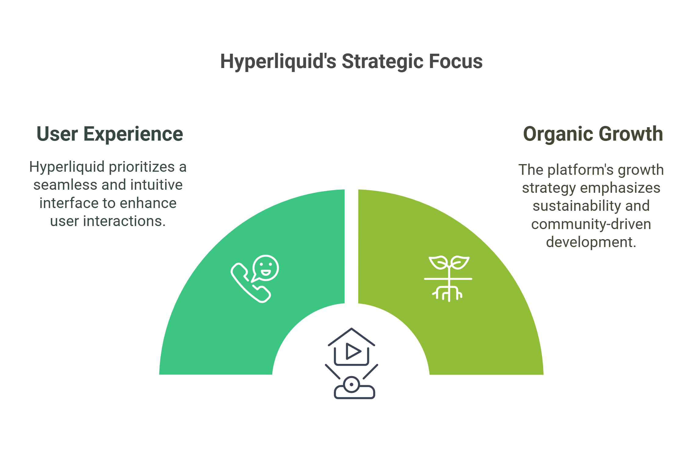 Hyperliquid's Growth Strategy