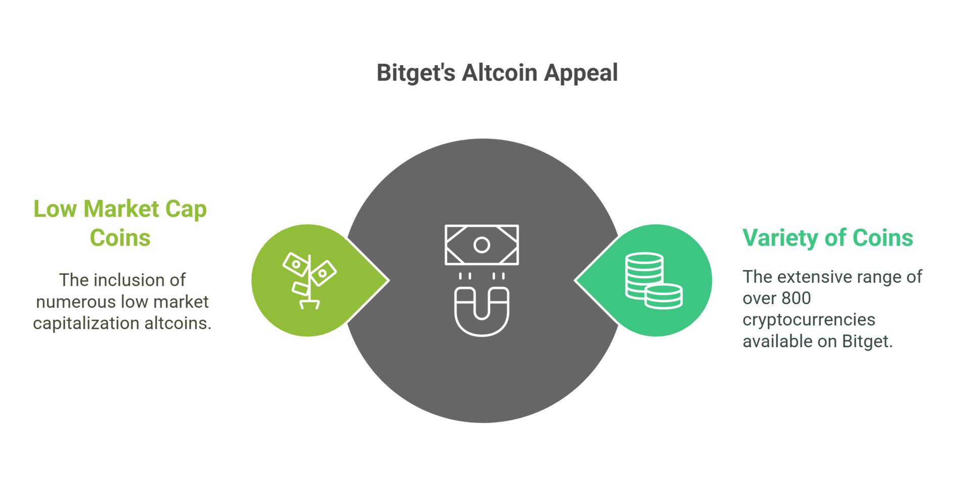 Bitget's diversity of virtual currencies